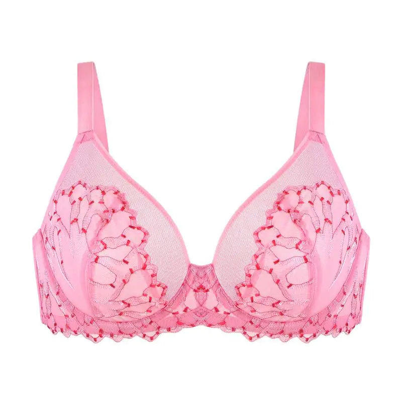 HSIA Winter Sonata Embroidered Lace Trim Full Coverage Unlined Underwire Bra