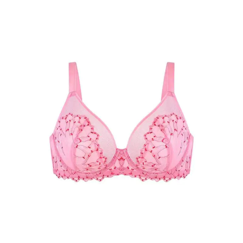 HSIA Winter Sonata Embroidered Lace Trim Full Coverage Unlined Underwire Bra